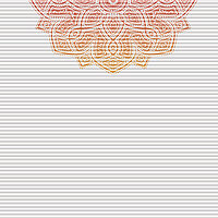 MHZ Wabenplissees DUETTE® Dessins NAMASTE orange