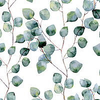 MHZ Design Collection Motiv EUCALYPTUS