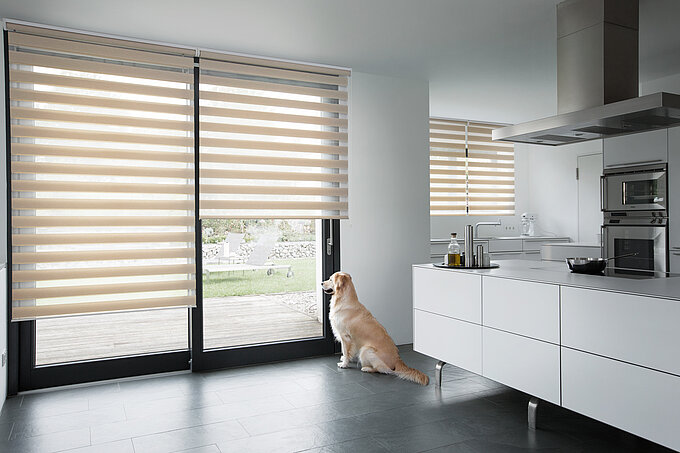 Doppelrollo „Malin“ in beige in einer modernen Küche mit Terrassenzugang, ein Hund sitzt vor der Tür und blickt hinaus in den Garten.
