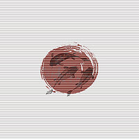 MHZ Wabenplissees DUETTE® Dessins KOI rot