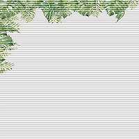 MHZ Wabenplissees DUETTE® Dessins JUNGLE