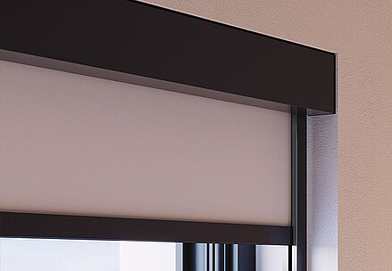 Rollo mit schwarzer Kassette und Seitenführung mit hellem Stoff in der Fensterniesche