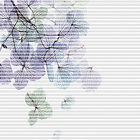 Wabenplissee Dessin FLEUR