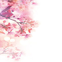 MHZ Design Collection Motiv SAKURA