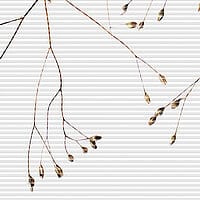 Wabenplissee Dessin IDA